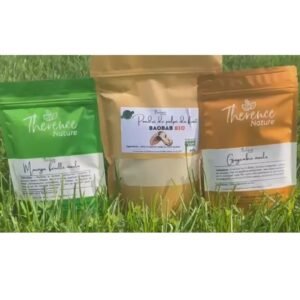 Combo Anémie (Moringa- baobab-gingembre)