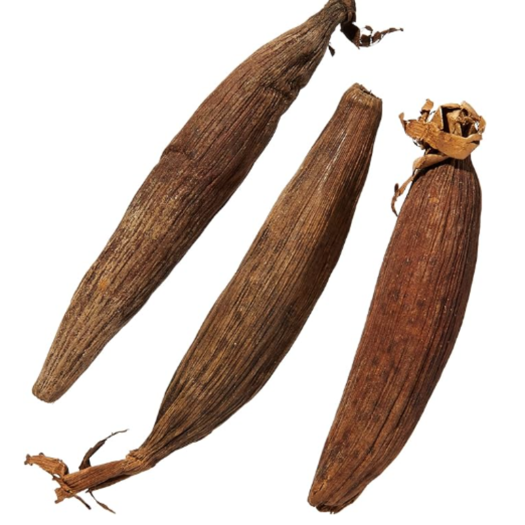 Jujube africain/Fruit de la paix(0,99euros l'unité)