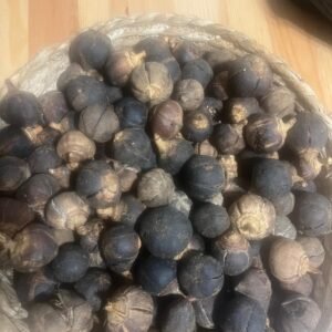 Goron tula (Maxifertilité homme Cure 3 mois)