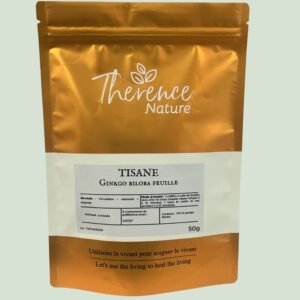 Feuilles de Ginkgo – Mémoire & Circulation Active