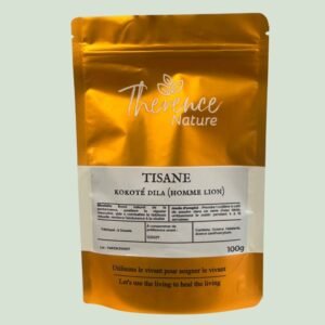 kokoté dila - Homme lion