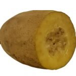 Image du produit suivant